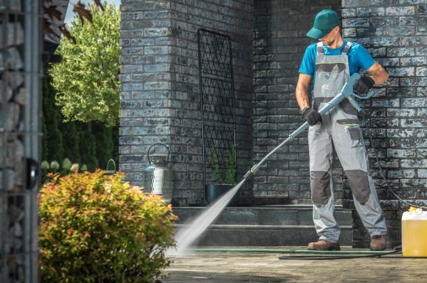 Best Driveway Pressure Washing  in Hillsboro, ND